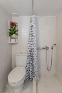 VívlosにあるMy Vivlos Homeのトイレとシャワーカーテン付きのバスルーム
