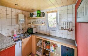 une petite cuisine avec un comptoir et un évier dans l'établissement Nice Home In Usedom With Kitchen, à Wilhelmshof