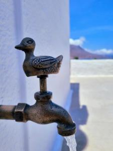 un grifo de agua con un pájaro encima en All Season Lovely Seafront Cottage, en Kissamos