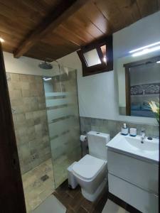 een badkamer met een toilet, een wastafel en een douche bij Casita Aljibe in San Miguel de Abona