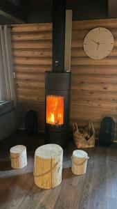 Billede fra billedgalleriet på Levillenet Bearlodge at Levi city centre i Levi