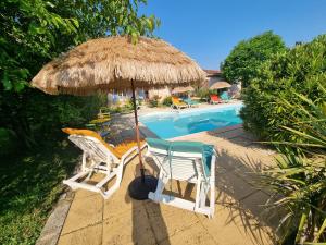 zwei Stühle und ein Sonnenschirm neben einem Pool in der Unterkunft Villa de charme Mas de la Cigaline & chambres d'hôtes chez Dany 83 in Garéoult