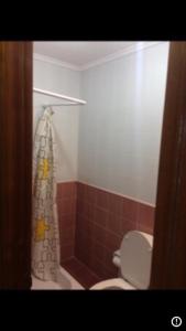 uma casa de banho com um WC e uma cortina de chuveiro em La mies de Meruelo em San Miguel de Meruelo