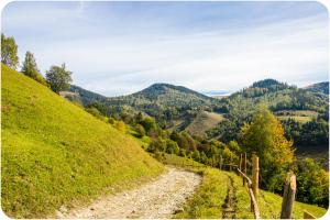 Fotografie z fotogalerie ubytování Апартаменти БАРВА v destinaci Beloberëzka