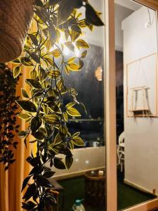 a green plant sitting in front of a mirror at Boho Suite by Hey Studios in Ghaziabad