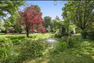 einen Park mit einem Teich und einem roten Baum in der Unterkunft Havre de Paix 10 mn Centre Paris in Clichy