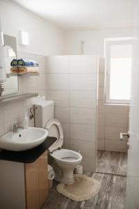 a bathroom with a toilet and a sink at Apartmani Romić R in Novi Travnik
