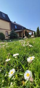 a field of flowers in front of a house at Трушки34/1 in Trushki
