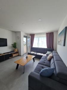 Televízia a/alebo spoločenská miestnosť v ubytovaní Holiday Apartment Marijana