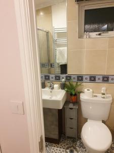 a bathroom with a white toilet and a sink at 2 bed lodge sleeps 6 in Rhyl