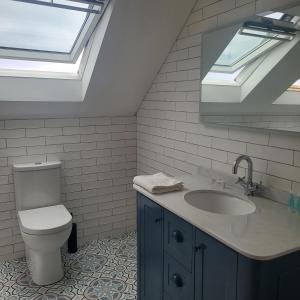 een badkamer met een toilet en een wastafel met dakramen bij An Creagán Bed and Breakfast in Inisheer