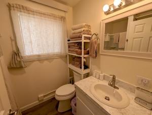 a bathroom with a sink and a toilet and a mirror at Yellowstone Treasure Guesthouses on the River in Gardiner