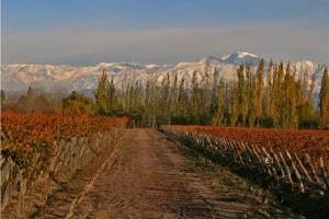 a dirt road in a field with mountains in the background at Finca Mosso Lunlunta in Lunlunta