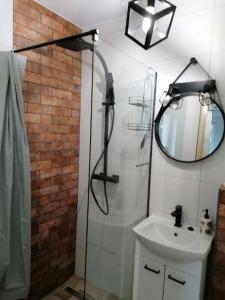 ein Bad mit einer Dusche, einem Waschbecken und einem Spiegel in der Unterkunft Magnolia in Sobolew