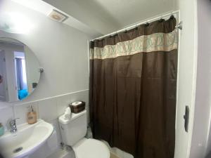 a bathroom with a shower curtain and a toilet at Apartamento boldo Curicó in Curicó