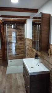 Koupelna v ubytování Apartman Albreit 2