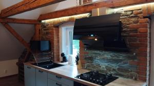 Kuchyň nebo kuchyňský kout v ubytování Apartman Albreit 2