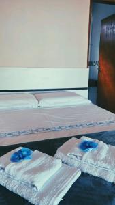 Cama ou camas em um quarto em Pousada Serra de São Thomé