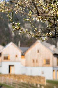 une branche d'arbres avec des maisons blanches en arrière-plan dans l'établissement IKI Retreat Magura, à Măgura