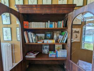 une étagère avec des livres à côté d'un miroir dans l'établissement Château de Lavaud, à Montbron