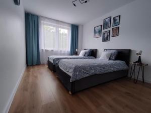 een slaapkamer met 2 bedden en een raam bij Apartament Mineralny in Krynica Zdrój