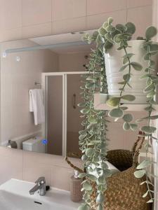 a bathroom with a sink and a mirror with a plant at La Florida in Ciudad Real