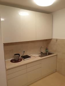 uma cozinha com armários brancos e um lavatório em Podbara Center em Novi Sad