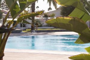 The swimming pool at or close to Casita blanca near yumbo