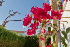 A garden outside Casita blanca near yumbo