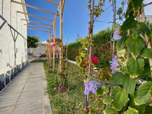 A garden outside Casita blanca near yumbo