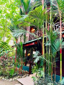 un bâtiment avec des palmiers en face de celui-ci dans l'établissement Casa Elita - Tranquil Escape with Pool, Jacuzzi, AC, à Puerto Viejo