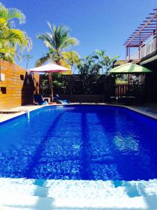 a blue swimming pool with an umbrella and palm trees at Hotel Ylang Ylang in Saint-Gilles les Bains
