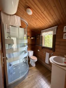 y baño con ducha, aseo y lavamanos. en Casa Rural Las Bodegas, en Setenil