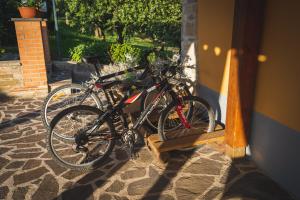 Jazda na bicykli v okolí ubytovania Casa Ambrogi Stefano