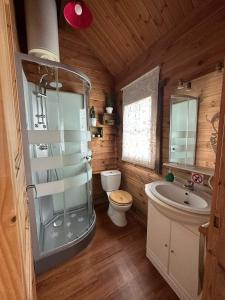 a bathroom with a shower and a toilet and a sink at Casa Rural Las Bodegas in Setenil