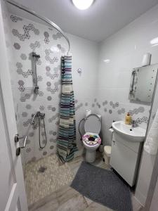 een badkamer met een toilet, een wastafel en een douche bij Luxurious apartment with 3 rooms and 2 bathrooms in Corabia in Corabia