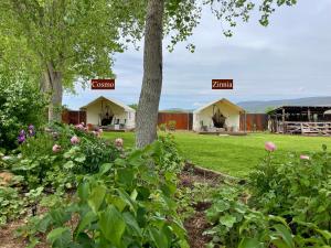 a group of tents in a field with flowers at Zinnia Glamping Tent at Zenzen Gardens in Paonia
