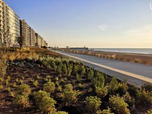 ミッデルケルケにあるWesteinders Sea Viewの建物が立ち並ぶビーチの隣の空いている道路