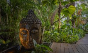a wooden head statue in the middle of a garden at The Palms At Palm Cove in Palm Cove