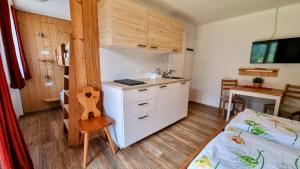 a small room with a kitchen and a bed at Gästehaus Landhaus Tyrol in Gries im Sellrain