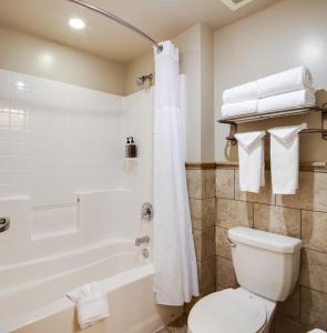 ミッションビエホにあるAyres Hotel & Spa Mission Viejo - Lake Forestのバスルーム(バスタブ、トイレ、シャワー付)