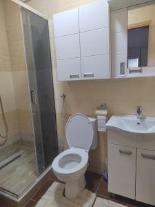 uma casa de banho com um WC, um chuveiro e um lavatório. em Grand apartman em Belgrado