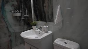 a bathroom with a sink and a toilet and a shower at Elite Studio Militari Residence in Chiajna +12 photos