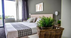 - une chambre avec un lit et une plante dans un panier dans l'établissement Family Hotel Friends Villa, à Enchets