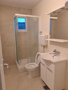 a bathroom with a toilet and a shower and a sink at Apartments by the sea Luka Dubrava, Peljesac - 284 in Janjina