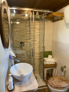 a bathroom with a sink and a shower at la casetta di Vacone in Vacone +32 photos