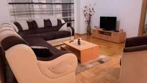 sala de estar con sofá y TV en Vaikiki Apartman LM, en Novi Pazar