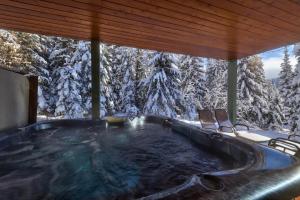 Snow Creek Village #37 By Bear Country v zimě + 26 fotografií