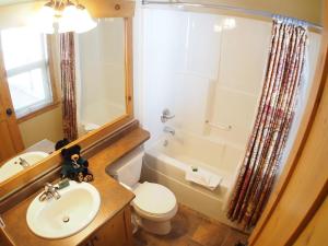 a bathroom with a sink and a toilet and a shower at Crystal Forest #53 By Bear Country in Sun Peaks