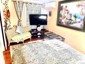 een woonkamer met een bed en een televisie bij luxurious home spacious yard & above ground pool in Shirley
